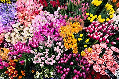 Creepy Jar工作室带玩家走近《星际裂变》基地建筑